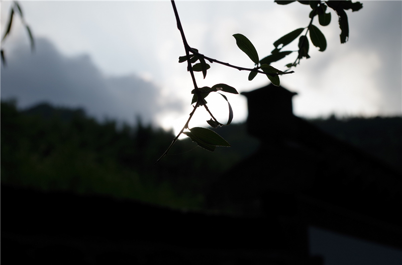 1433993173402045.jpg 1433993173402045.jpg